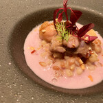 シェルポ的實拍圖