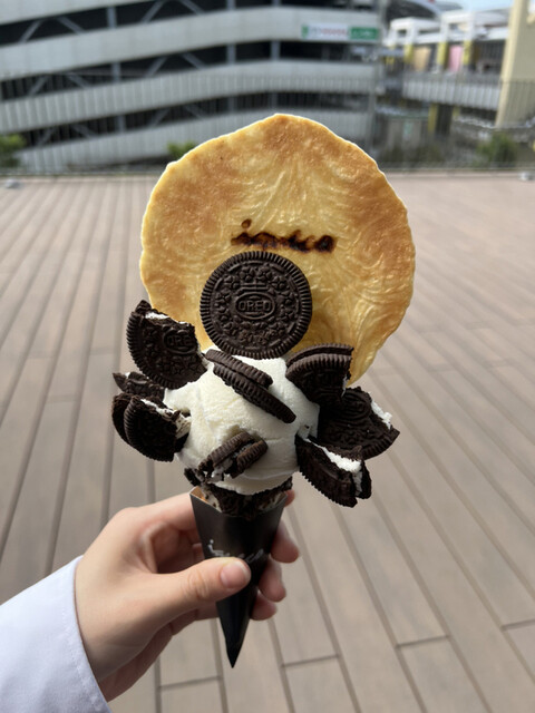 iqueco的实拍高清图
