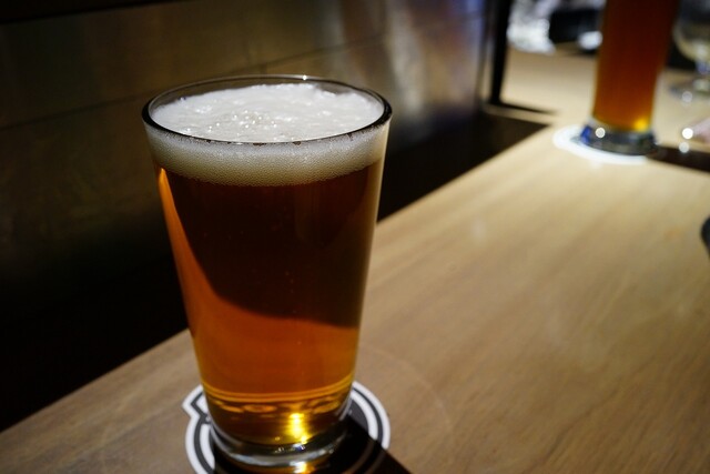 Goodbeer faucets的實拍高清圖