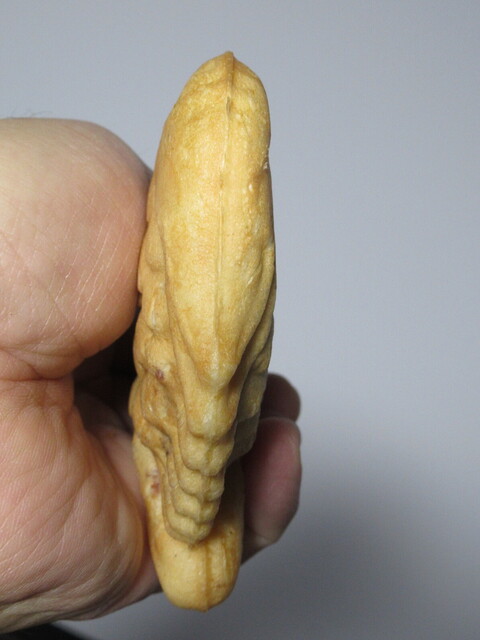 たいやき 一休 麻生店的实拍高清图