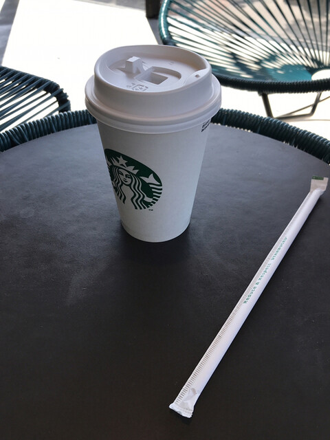 スターバックスコーヒー ビバスクエア京都 梅小路公園店的实拍高清图