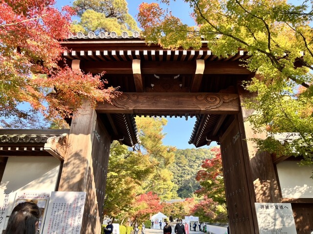 recommendations image for みかえり茶屋