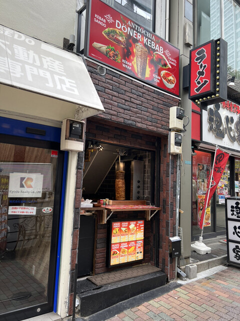 アントチア的實拍高清圖