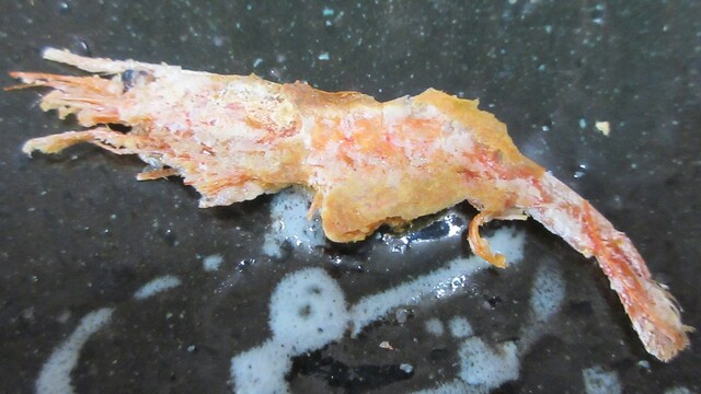 越前海鮮倶楽部 大阪店的實拍高清圖