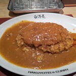 旨辛カレー専門店 白洋亭的实拍图