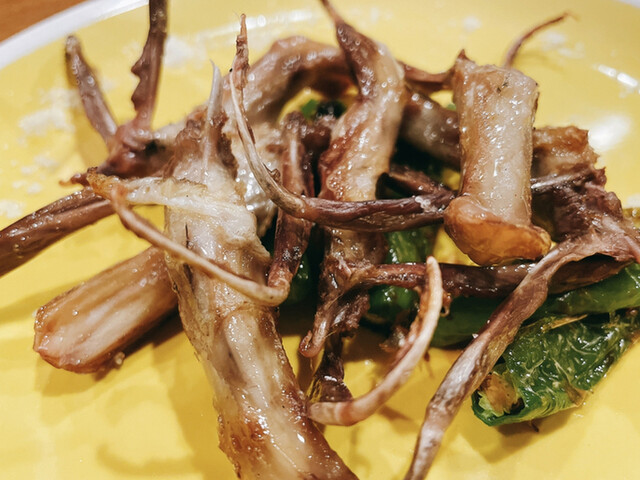 AnaTra的實拍高清圖