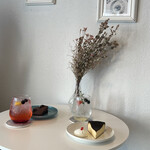 recommendations for papillon