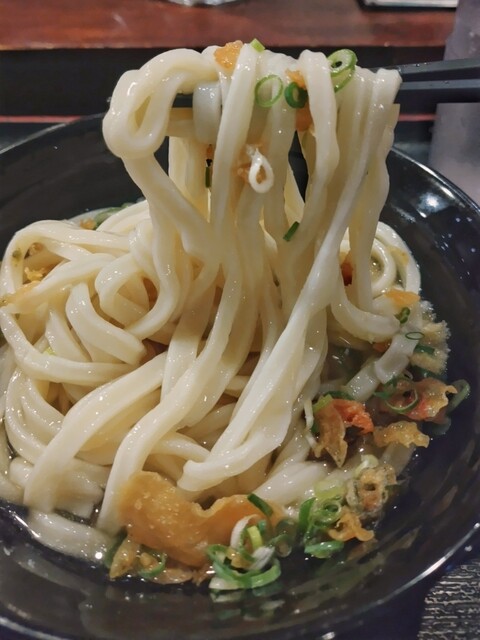讃岐うどん大使 東京麺通団的實拍高清圖