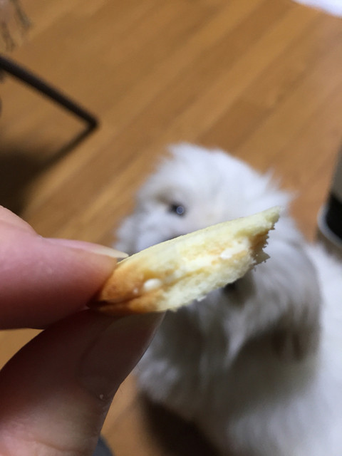 ゴディバ 新宿伊勢丹店的實拍高清圖