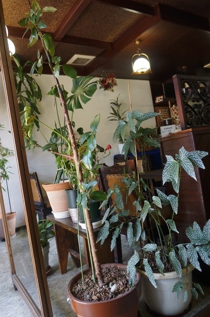 アーバン喫茶的实拍高清图