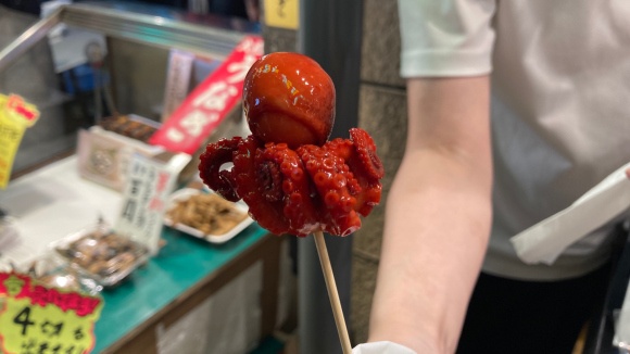 櫂的實拍高清圖