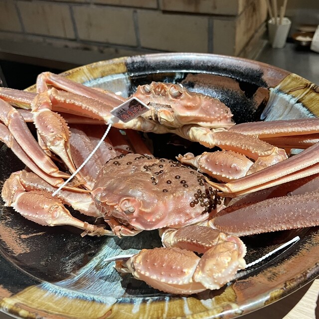 杦的實拍高清圖