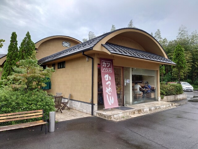 かつぜん的實拍高清圖