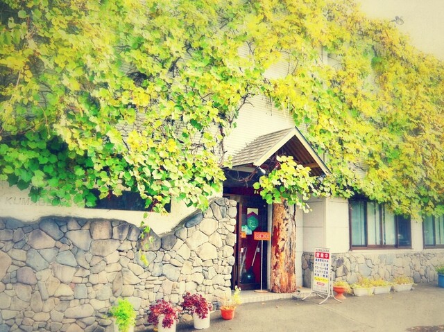 recommendations image for くまげら