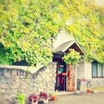 recommendations for くまげら