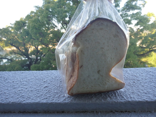 recommendations image for マーヴェック