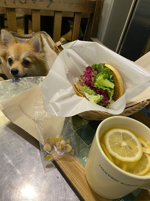 recommendations image for フレッシュネスバーガー 下北沢店