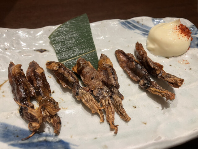 佐渡島へ渡れ 上野店的實拍高清圖