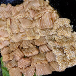 焼肉の吉田 本店的實拍圖