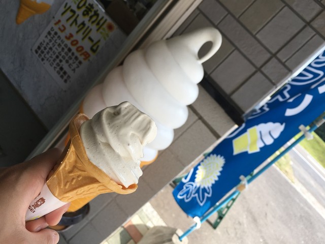 八八的实拍高清图