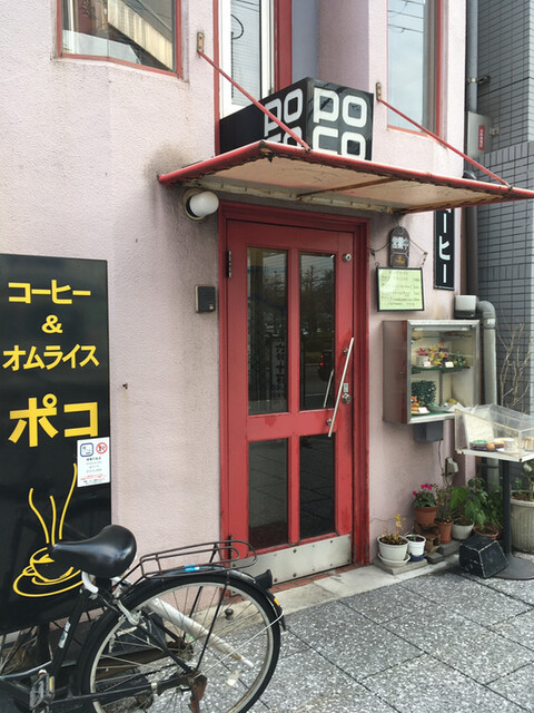 ポコ的实拍高清图