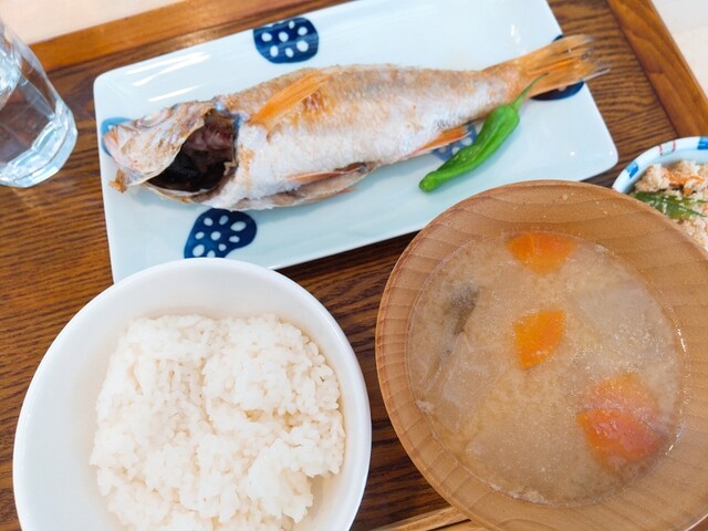 食堂 泰山木的實拍高清圖