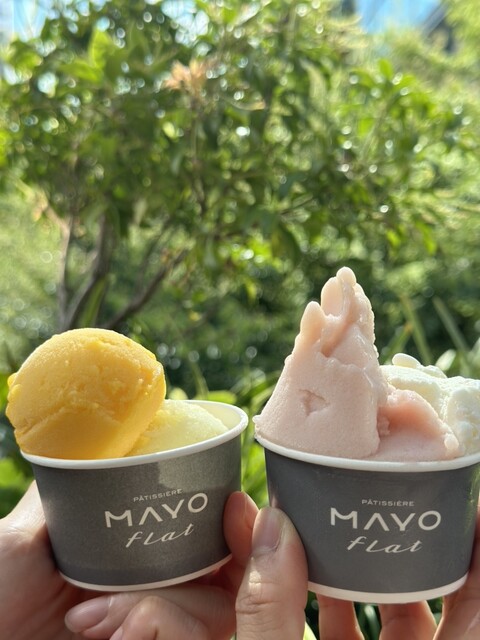 recommendations image for PATISSIERE MAYO flat