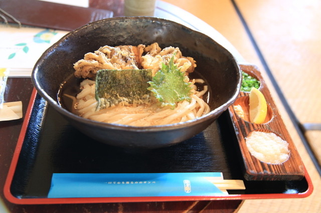 recommendations image for 名水うどん 野々傘