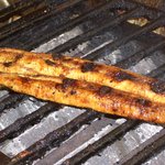 recommendations for 原田うなぎ屋