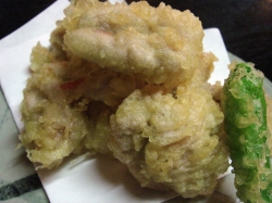 じゃじゃ馬的实拍图