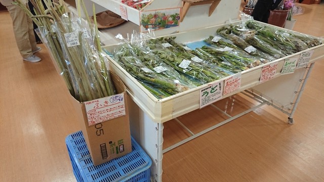 とうや水の駅的實拍高清圖
