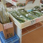 とうや水の駅的實拍圖