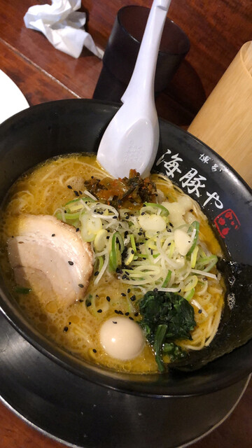 西新 海豚や的实拍高清图