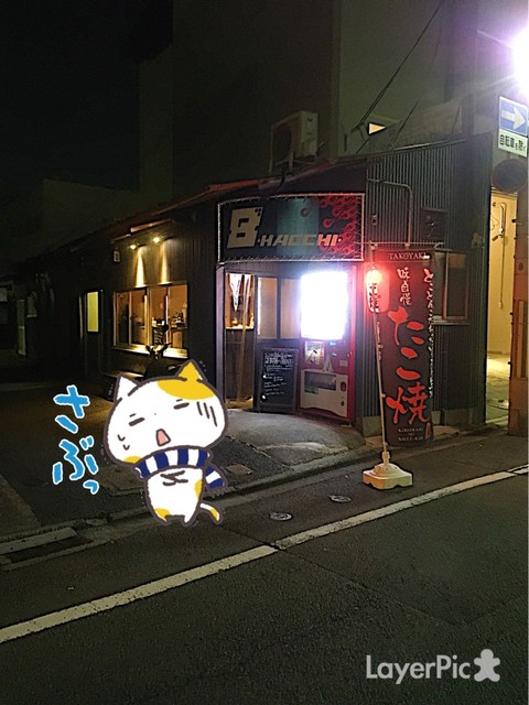 キョウタコヤキバー 8的实拍高清图