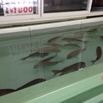 recommendations for 道の駅とっとパーク小島