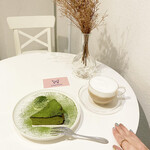 recommendations for papillon