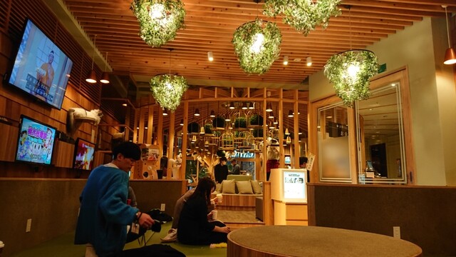 猫カフェMOCHA 秋葉原店的實拍高清圖