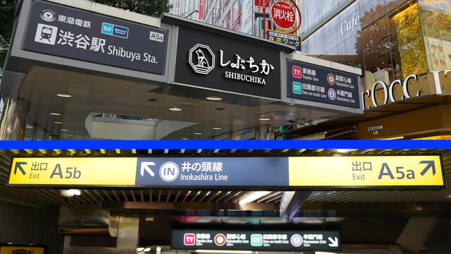 たこ家道頓堀くくる 渋谷東急フードショー店的實拍高清圖