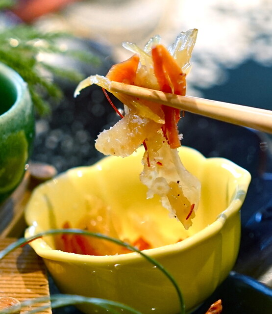 青山 星のなる木的實拍高清圖