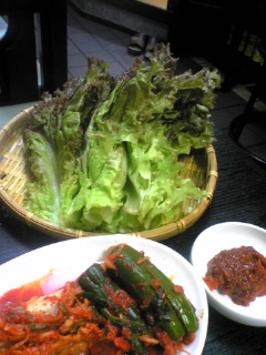 recommendations image for 柿の木