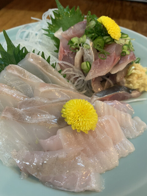 鳥勢的實拍高清圖