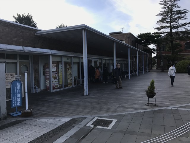 カンフォーラ的实拍高清图