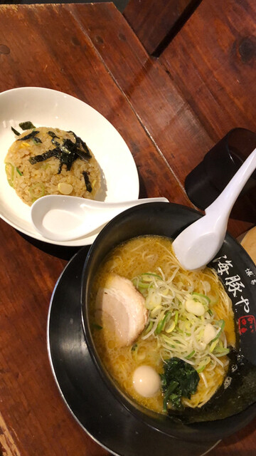 西新 海豚や的实拍高清图