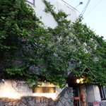 recommendations for くまげら