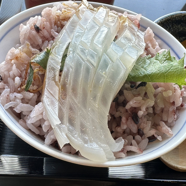波平的實拍圖