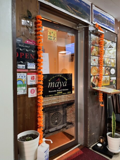 maya的实拍高清图