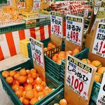 アウトロー的实拍图