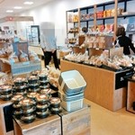 recommendations for Kanto