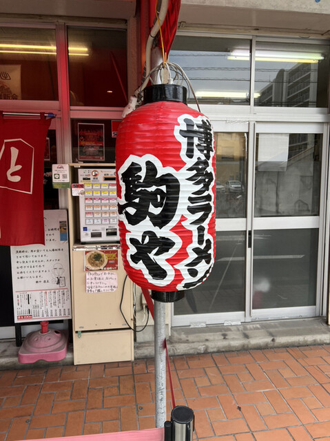 駒や的實拍高清圖