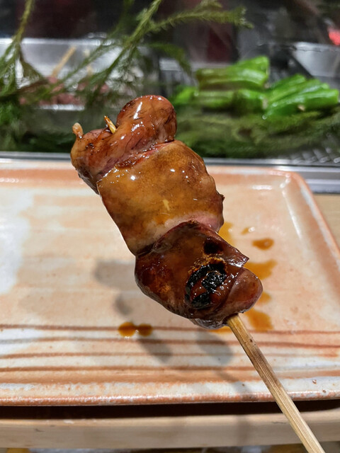 鳥長的實拍高清圖
